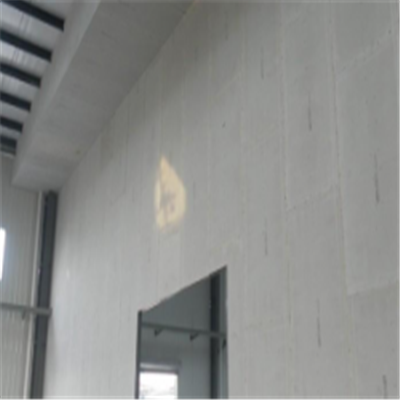 桂平宁波ALC板|EPS加气板隔墙与混凝土整浇联接的实验研讨
